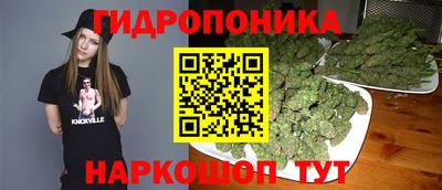 стаф Пенза