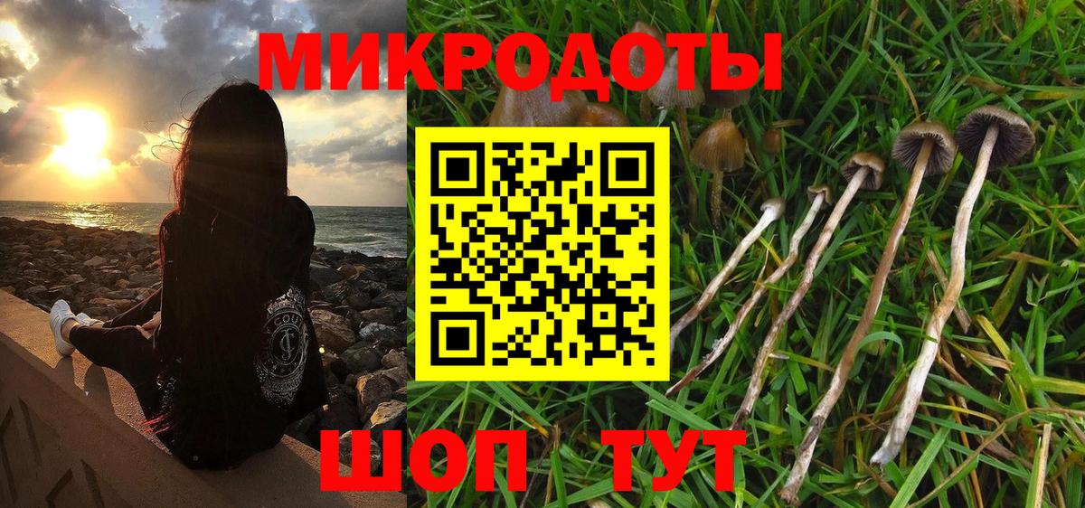 Сургут  Галлюциногенные грибы GOLDEN TEACHER  Галлюциногенные грибы Psilocybe  Вход с VPN 